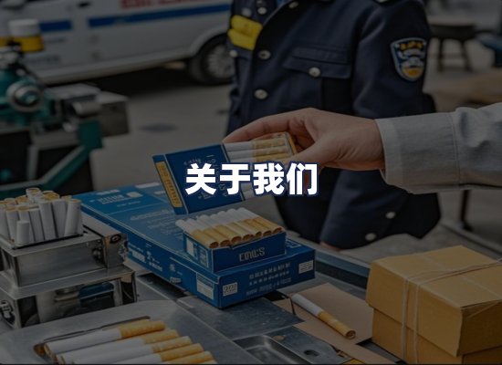 关于我们